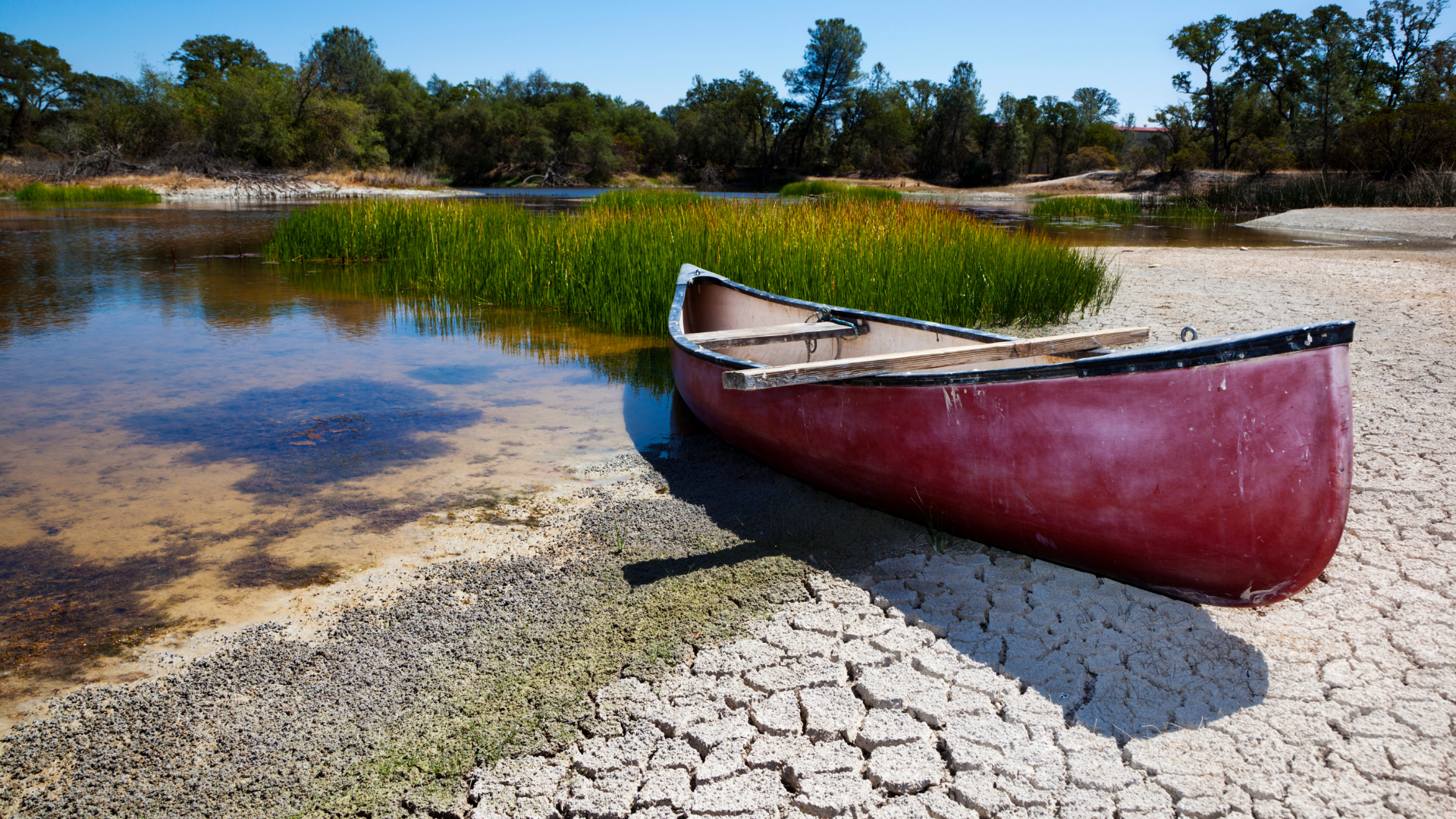 Advancing Drought Impact Monitoring A Global Baseline